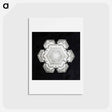 アートポストカード-Wilson Bentley's Snowflake 10 - ウィルソン ベントレー Postcard.
