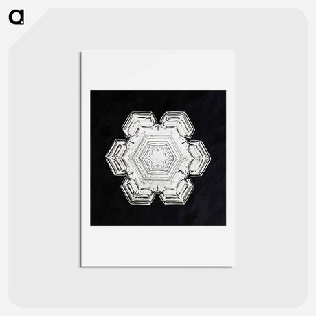 アートポストカード-Wilson Bentley's Snowflake 10 - ウィルソン ベントレー Postcard.