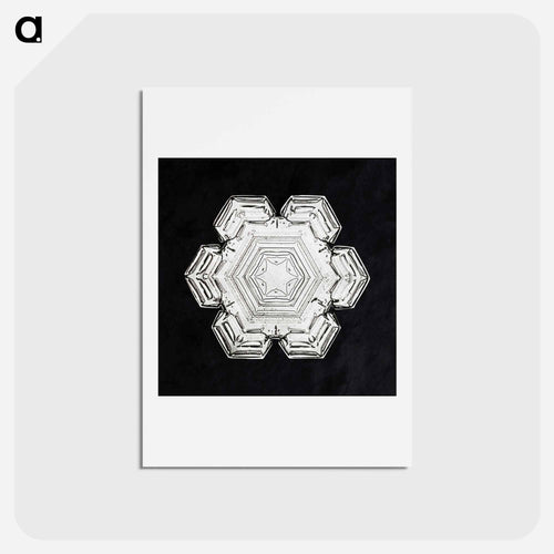 Wilson Bentley's Snowflake 10 - ウィルソン ベントレー Postcard.