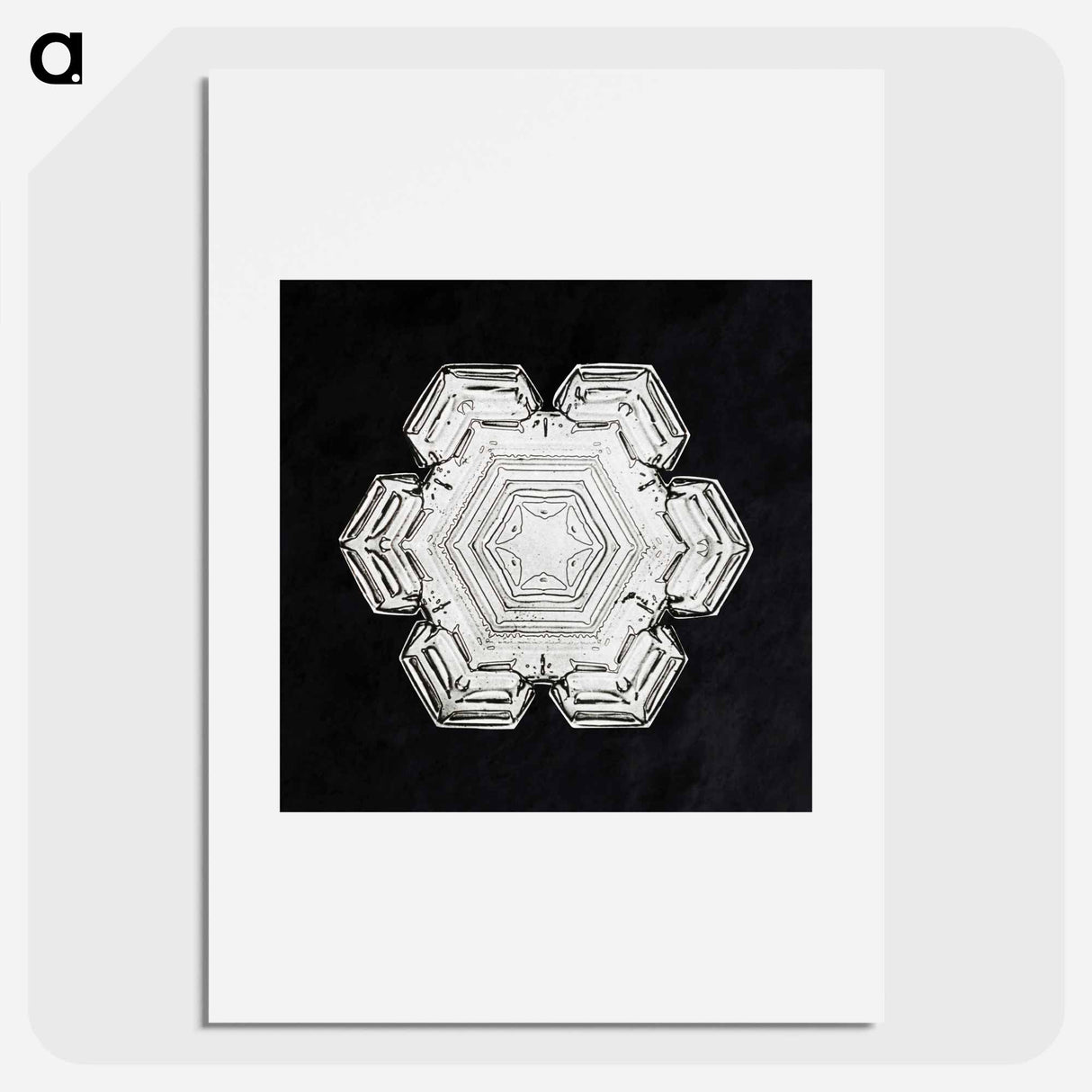 アートポスター-Wilson Bentley's Snowflake 10 - ウィルソン ベントレー Poster.