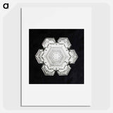 アートポスター-Wilson Bentley's Snowflake 10 - ウィルソン ベントレー Poster.
