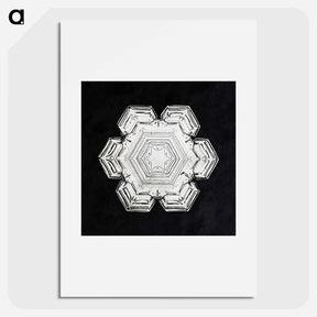 アートポスター-Wilson Bentley's Snowflake 10 - ウィルソン ベントレー Poster.