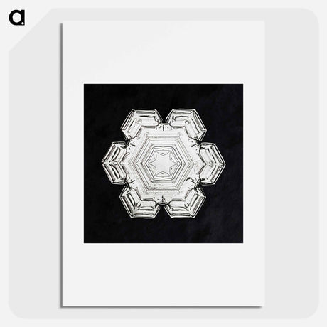 アートポスター-Wilson Bentley's Snowflake 10 - ウィルソン ベントレー Poster.