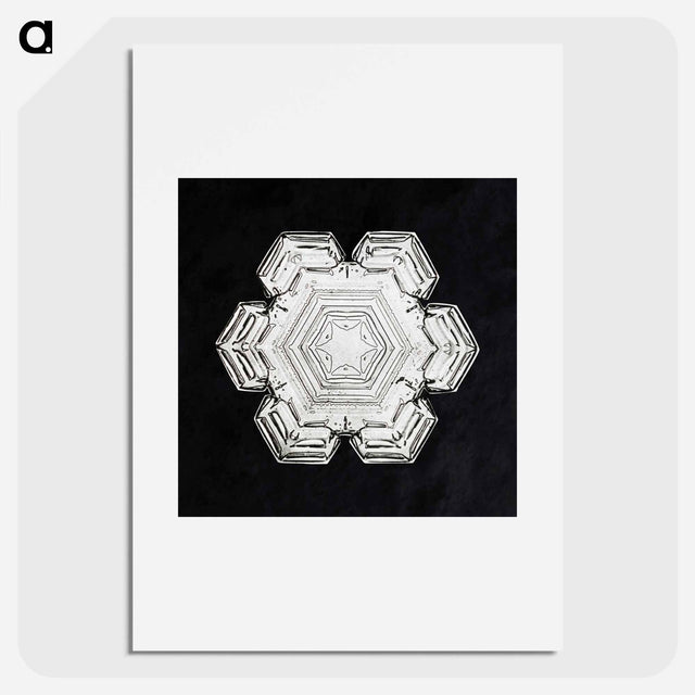 アートポスター-Wilson Bentley's Snowflake 10 - ウィルソン ベントレー Poster.