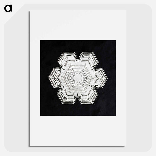 Wilson Bentley's Snowflake 10 - ウィルソン ベントレー Poster.