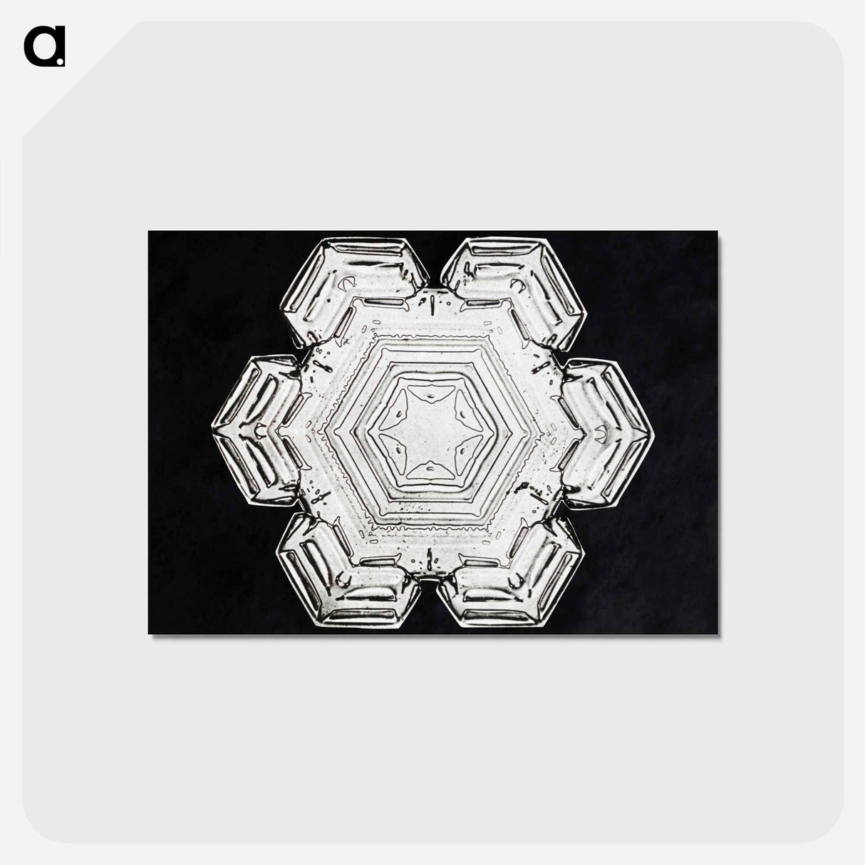 アートポストカード-Wilson Bentley's Snowflake 10 - ウィルソン ベントレー Postcard.