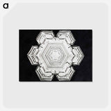 アートポストカード-Wilson Bentley's Snowflake 10 - ウィルソン ベントレー Postcard.