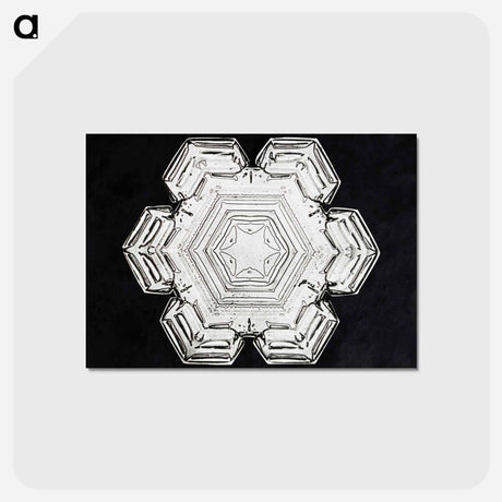 アートポストカード-Wilson Bentley's Snowflake 10 - ウィルソン ベントレー Postcard.