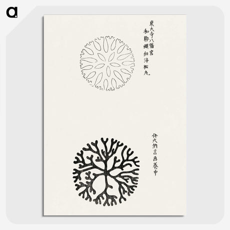 1-12_Yatsuo-no-Tsubaki_picture-crop