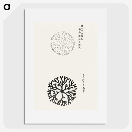 1-12_Yatsuo-no-Tsubaki_picture