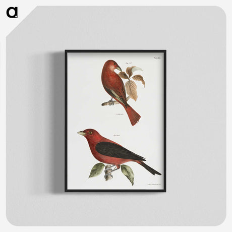 1-12_Zoology-of-New-York_blk-crop