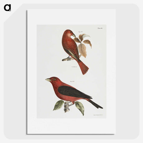 1-12_Zoology-of-New-York_picture