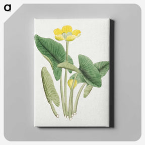 1-13_19th-Century-Japanese-Flowers_canvas