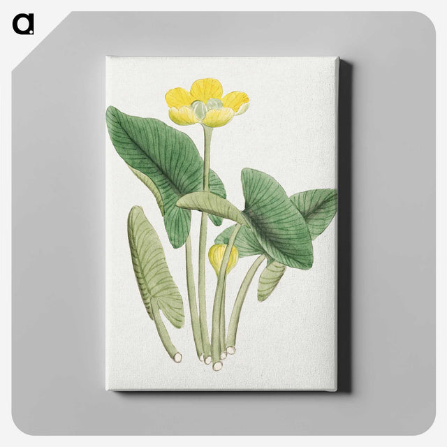 1-13_19th-Century-Japanese-Flowers_canvas