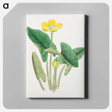 Lotus - 19世紀の日本の花 Canvas.