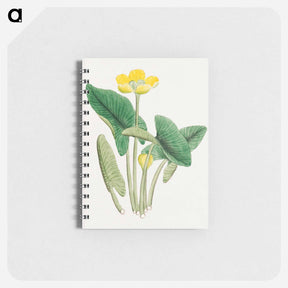 アートメモ帳-Lotus - 19世紀の日本の花 Memo.