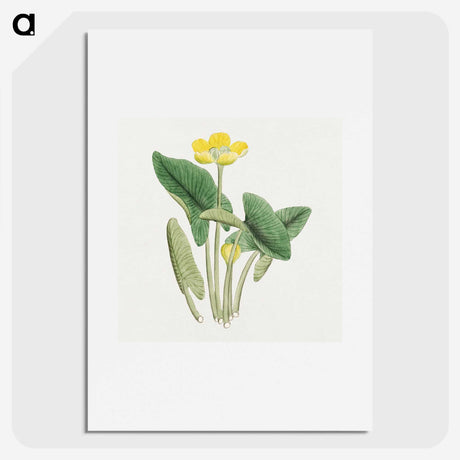 1-13_19th-Century-Japanese-Flowers_picture