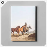 Illustration of the horse dealer from The Costume of Yorkshire - 19世紀のヨークシャー Canvas.