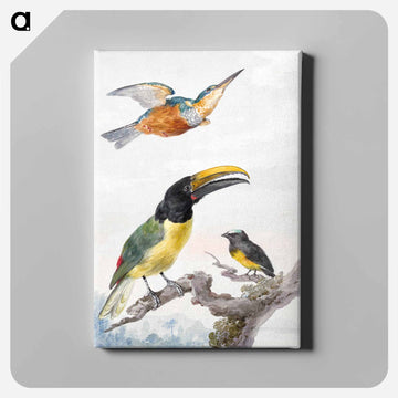 Three Birds - アールト シューマン Canvas.