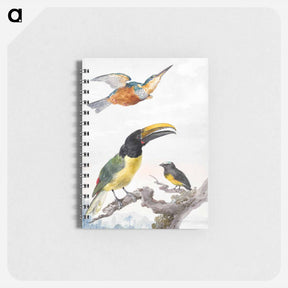 アートメモ帳-Three Birds - アールト シューマン Memo.