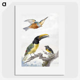 1-13_Aert-Schouman_picture