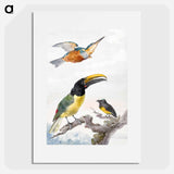 Three Birds - アールト シューマン Poster.