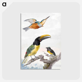 アートポストカード-Three Birds - アールト シューマン Postcard.