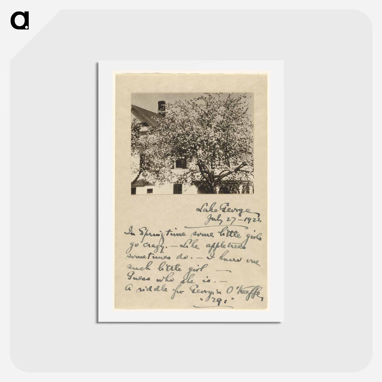 アートポストカード-Apple Blossoms - アルフレッド スティーグリッツ Postcard.