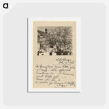 アートポストカード-Apple Blossoms - アルフレッド スティーグリッツ Postcard.