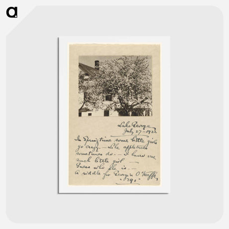 アートポストカード-Apple Blossoms - アルフレッド スティーグリッツ Postcard.