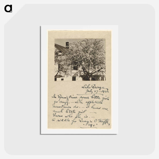 アートポストカード-Apple Blossoms - アルフレッド スティーグリッツ Postcard.