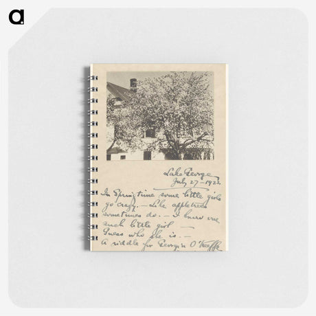 1-13_Alfred-Stieglitz_memo