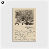 アートポストカード-Apple Blossoms - アルフレッド スティーグリッツ Postcard.