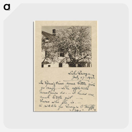 アートポストカード-Apple Blossoms - アルフレッド スティーグリッツ Postcard.
