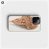 Common Triton Horns - アンセルムス ボエティウス デ ブート Phone Case.