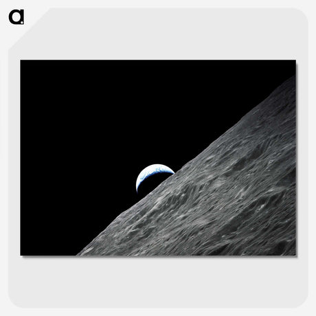1-13_Apollo-Moon-Landing_picture-crop