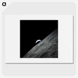 1-13_Apollo-Moon-Landing_picture