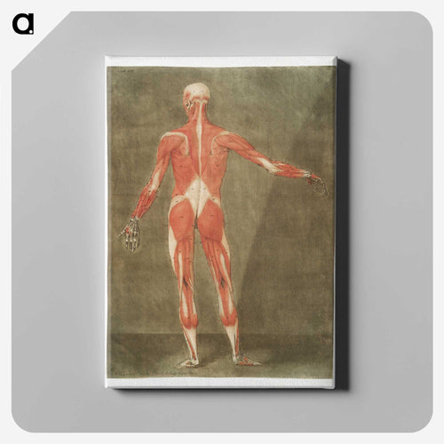 This fascinating collection of anatomical illustrations - アルノルド エロイ ゴーティエ ダゴティ Canvas.