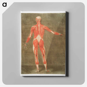 This fascinating collection of anatomical illustrations - アルノルド エロイ ゴーティエ ダゴティ Canvas.