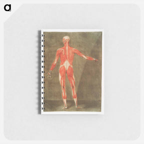 アートメモ帳-This fascinating collection of anatomical illustrations - アルノルド エロイ ゴーティエ ダゴティ Memo.