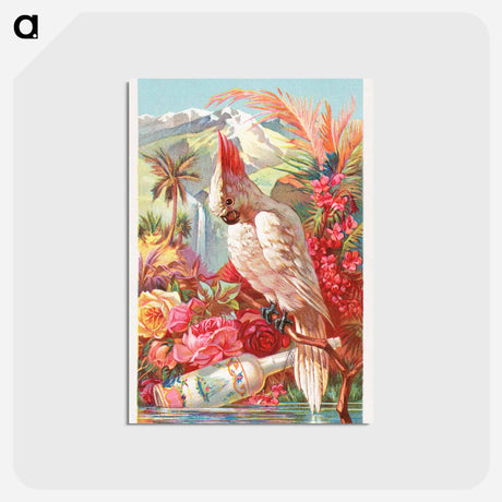 アートポストカード-Florida Water
 - ボストン公共図書館 Postcard.