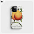 1-13_Botanical-Specimen-Plates_phone