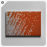 1-13_COVID-19_canvas