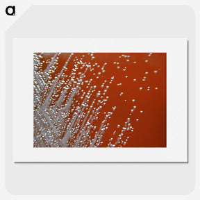 1-13_COVID-19_picture