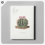 1-13_Charles-Antoine-Lemaire_canvas