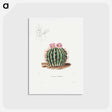 アートポストカード-Echinocactus Coptonogonus
 - シャルル アントワーヌ ルメール Postcard.