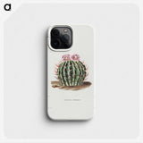 1-13_Charles-Antoine-Lemaire_phone