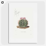 1-13_Charles-Antoine-Lemaire_picture