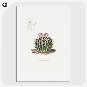 1-13_Charles-Antoine-Lemaire_picture