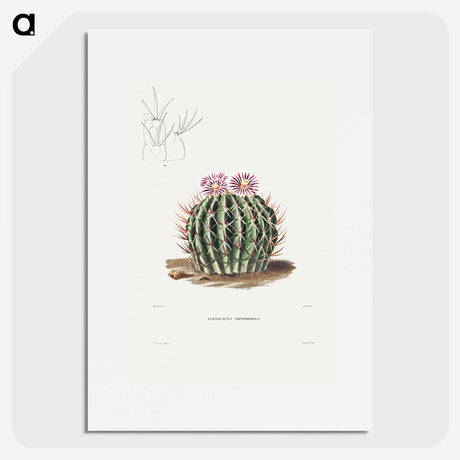 1-13_Charles-Antoine-Lemaire_picture